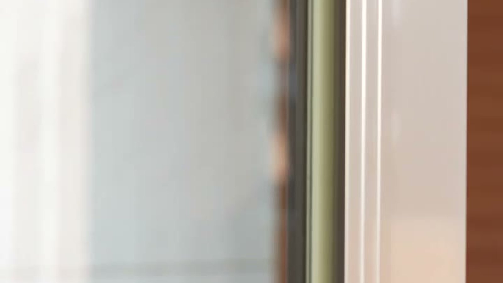 Elevator & Escalator — silicone sealant application